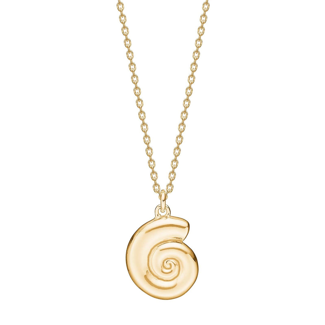Silver necklace snail shell SEA52
