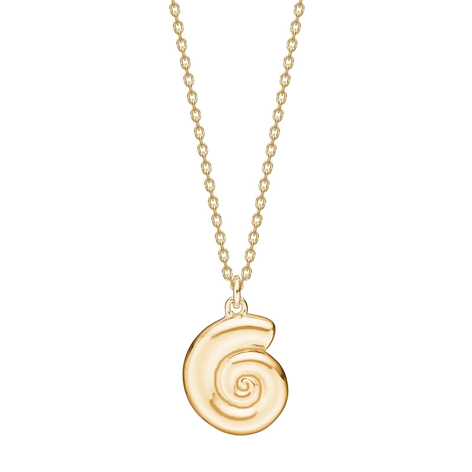 Silver necklace snail shell SEA52