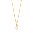 Silver necklace NOMINOR