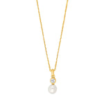 Silver necklace NOMINOR