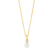 Silver necklace NOMINOR