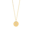 silver chain ELLANOR 14mm plate, 42+3cm