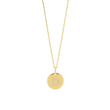 silver chain ELLANOR 14mm plate, 42+3cm