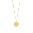 silver chain ELLANOR 14mm plate, 42+3cm