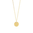 silver chain ELLANOR 14mm plate, 42+3cm