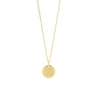 silver chain ELLANOR 14mm plate, 42+3cm