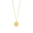 silver chain ELLANOR 14mm plate, 42+3cm
