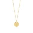 silver chain ELLANOR 14mm plate, 42+3cm