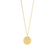 silver chain ELLANOR 14mm plate, 42+3cm