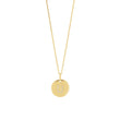 silver chain ELLANOR 14mm plate, 42+3cm