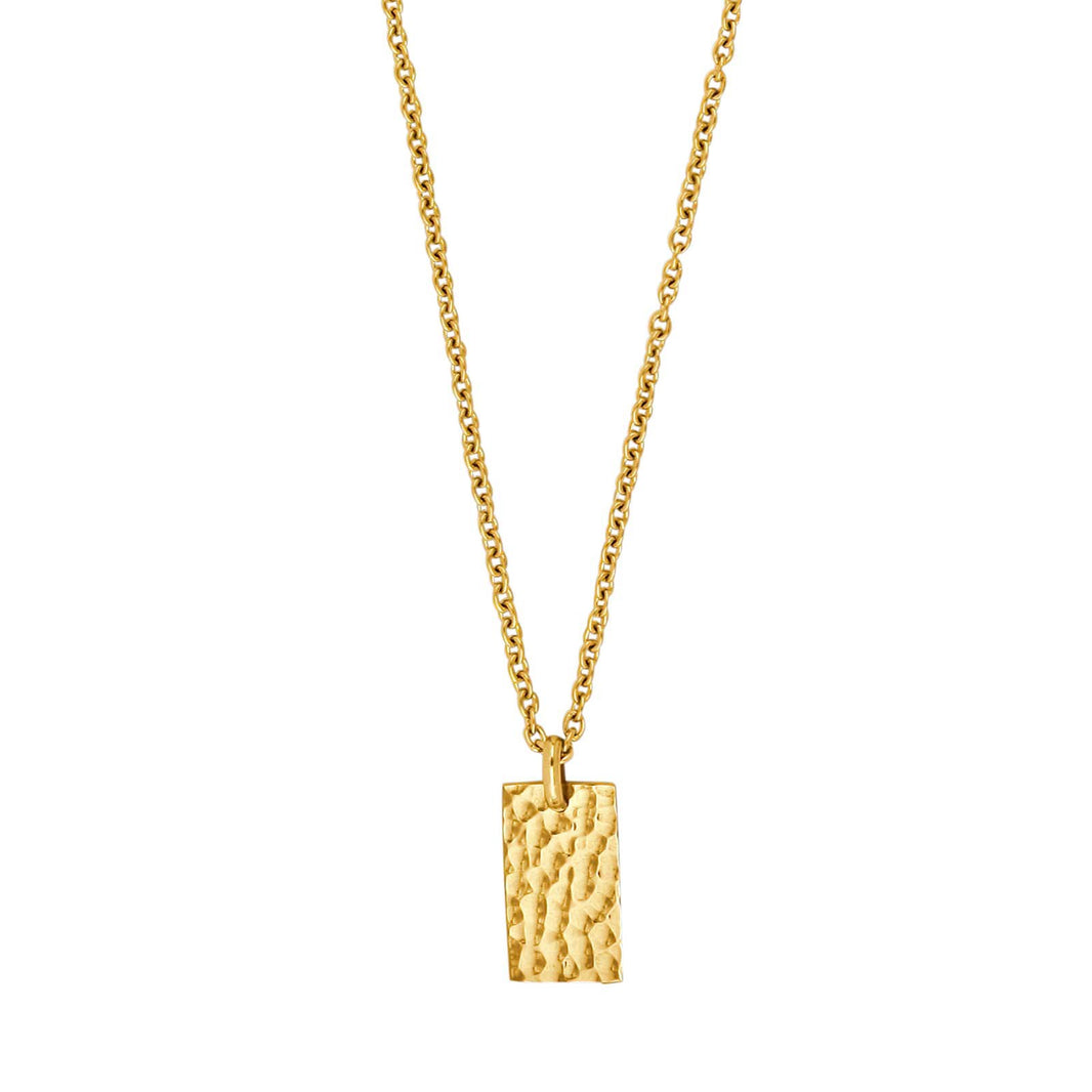 SON chain steel IP gold with plate