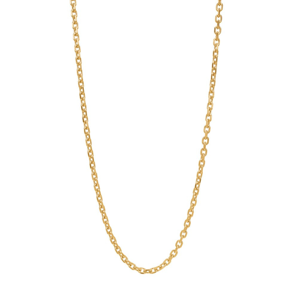 SON Stahl Halskette Facette Anchor 50+5cm - IP Gold
