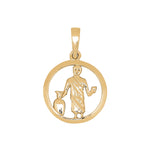 Siersbøl gold plated pendant Aquarius 15mm