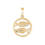 Siersbøl 8ct.  Pisces 15mm