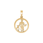 Siersbøl 8ct. pendant Aquarius 12 mm
