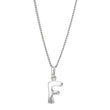 Rod. silver letter 12mm incl. chain
