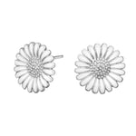 Rhod. silver earrings Marguerite 15mm