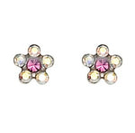 Blume Rose, 5 mm