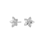 Silver rhod. earring
