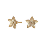 Silver goldplated earring