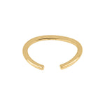 Silver goldplated earring