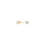 Titanium ear studs GP 4mm w.cz