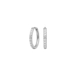 Titanium hoops 12mm w. cz