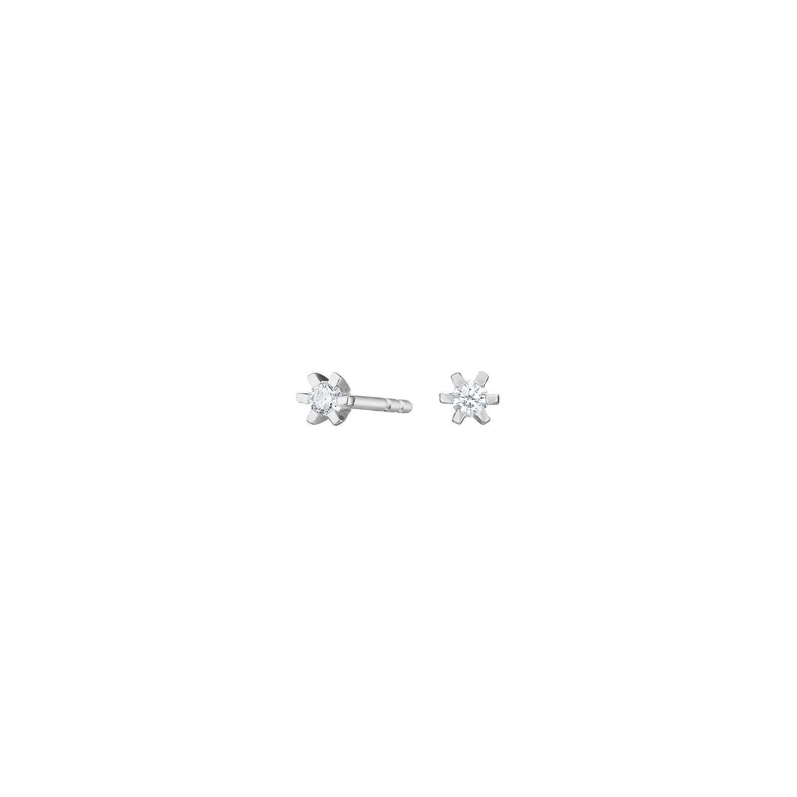 Rhod. silver earrings 6 claws with 2,5mm zirconia