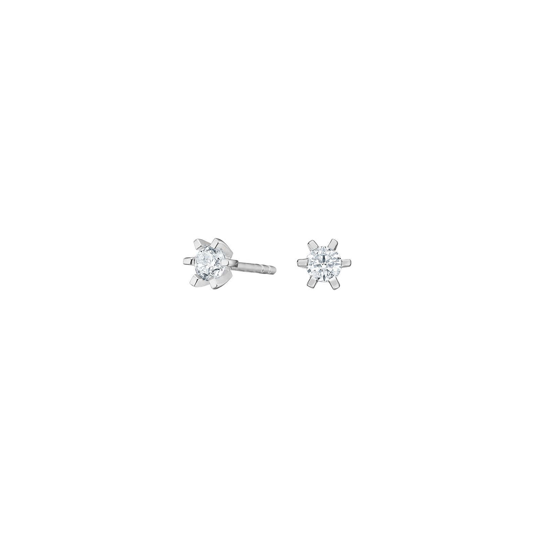 Rhod. silver earrings 6 claws with 4mm zirconia