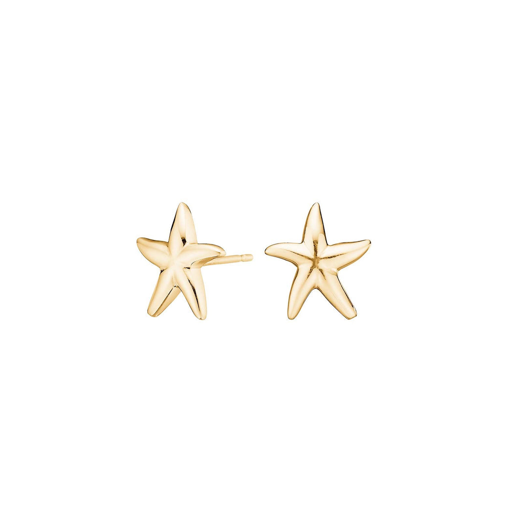 Silver earring starfish SEA52