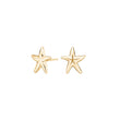 Silver earring starfish SEA52