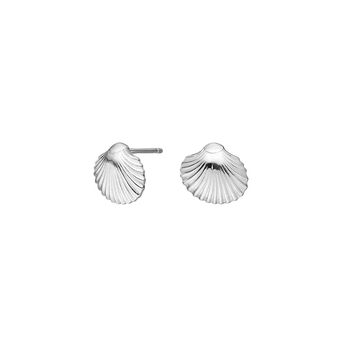 Silver ear studs seashell SEA52