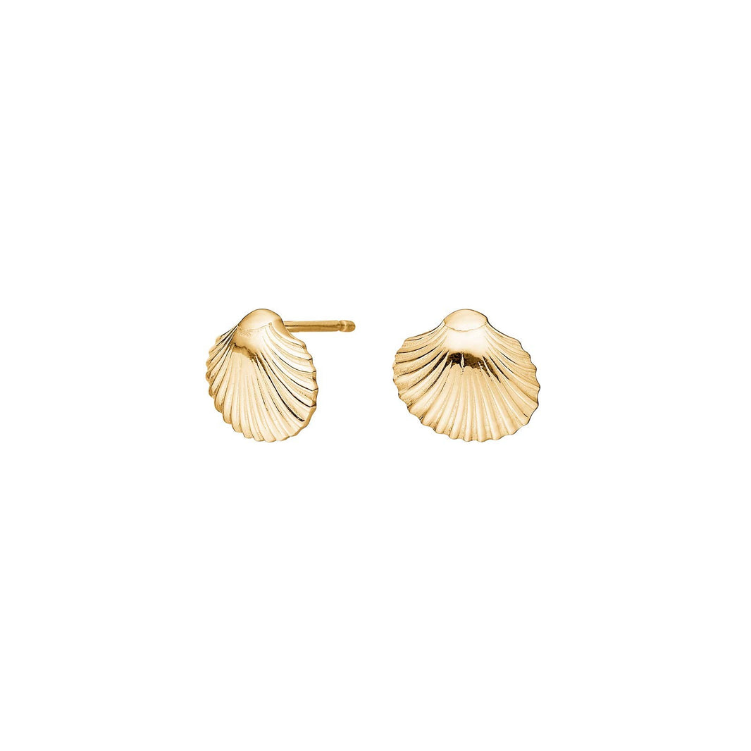 Silver ear studs seashell SEA52 - Gold plated