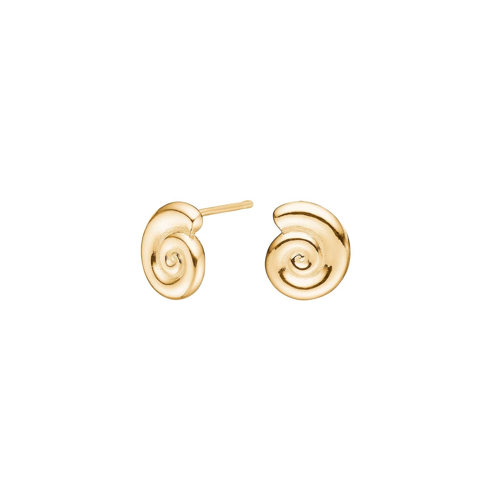 Silver ear stud snail shell SEA52