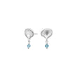 Earrings shell SEASIDE52