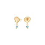 Earrings shell SEASIDE52