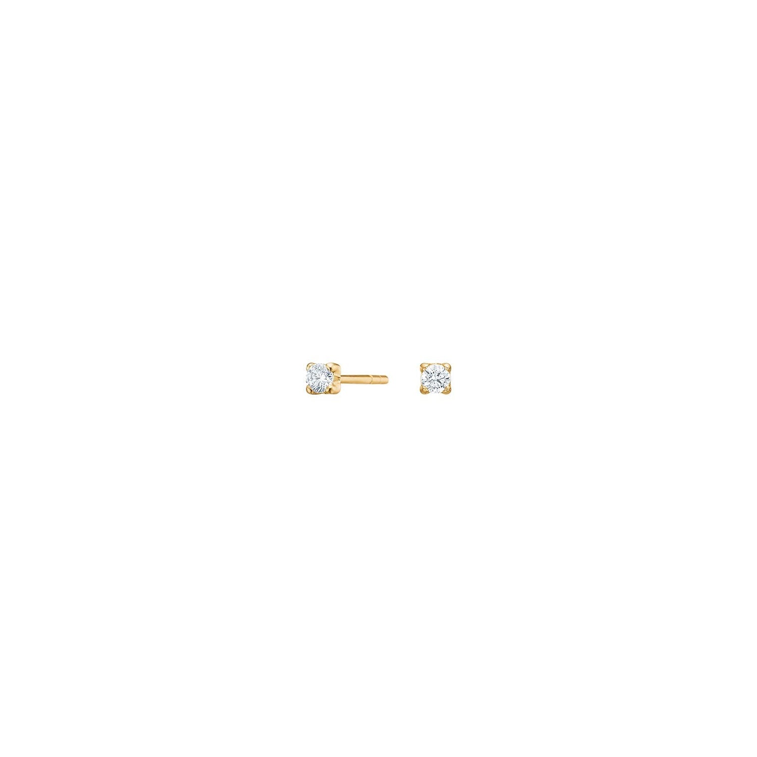 14kt. Goldohrringe m/cz 2mm
