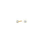 14ct. gold earrings 2.5mm