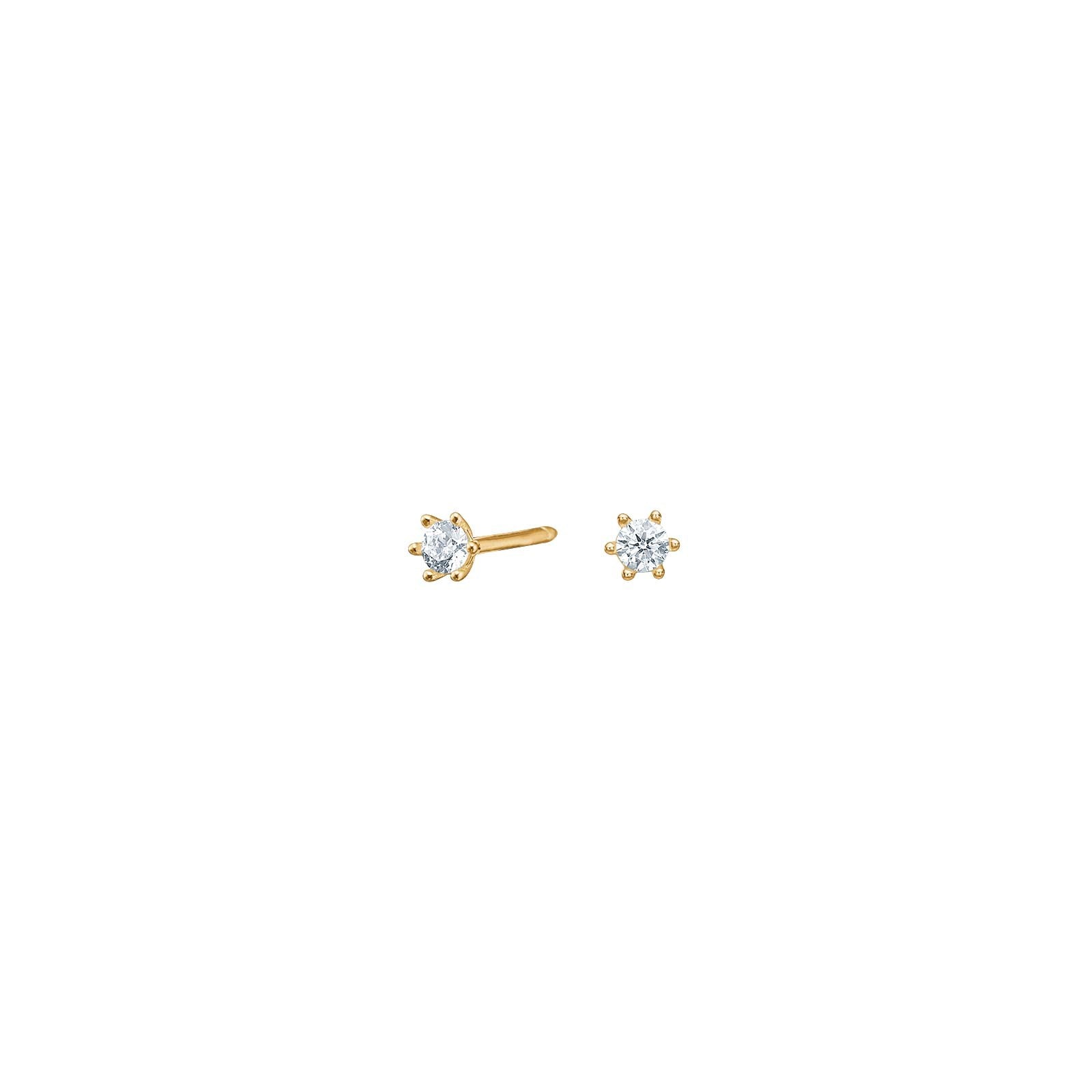 14ct. gold earrings 2.5mm
