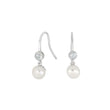 Silver ear hangers NOMINOR 1