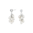 Silver ear hangers NOMINOR 2