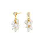Silver ear hangers NOMINOR 2