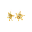 Silver earring large OYANOR