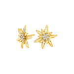 Silver earring large OYANOR