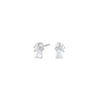 Silver ear studs PIANOR
