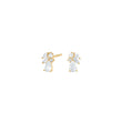 Silver ear studs PIANOR
