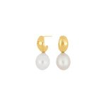 Gold plated silver earrings w. FWT