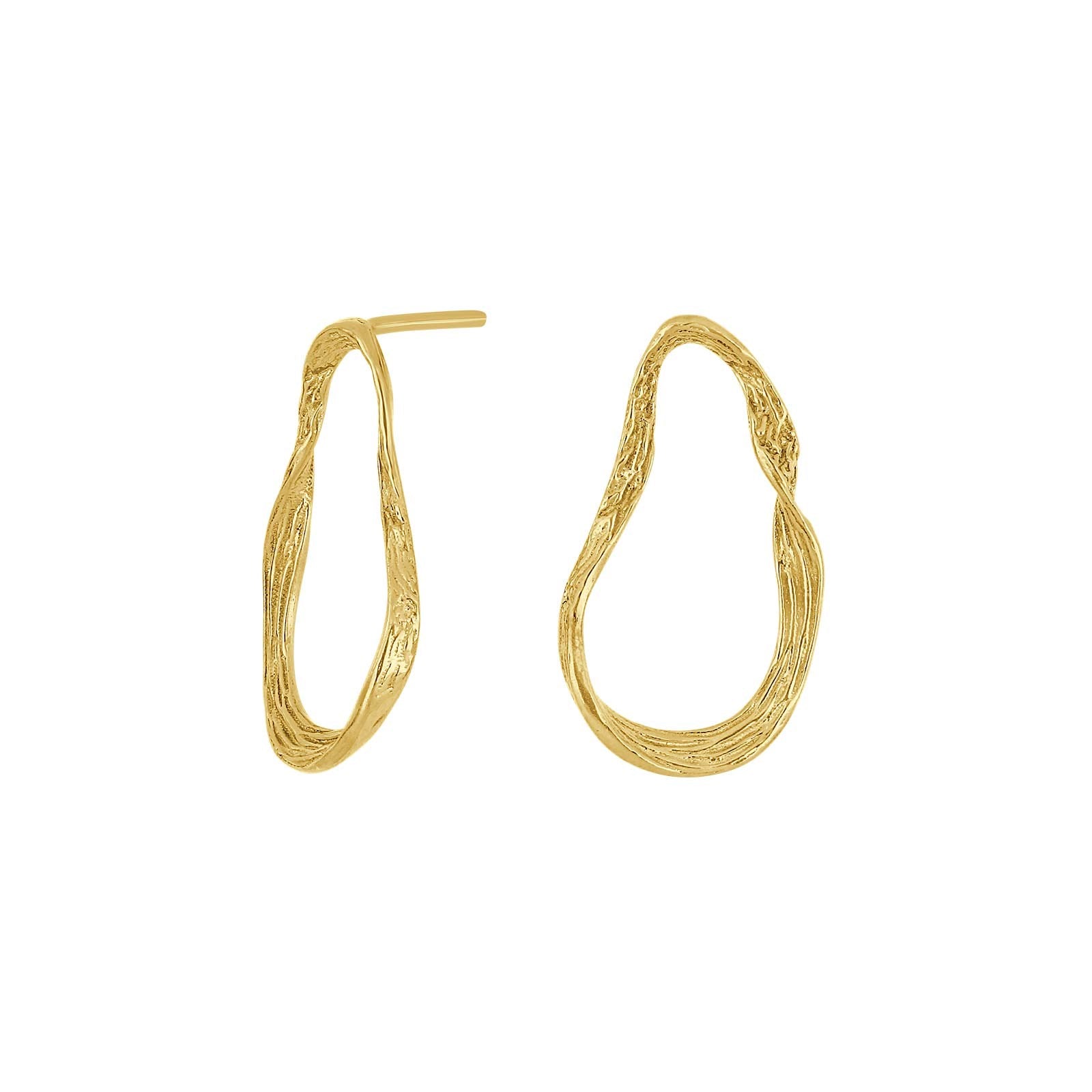 Silver ear studs SHINE52