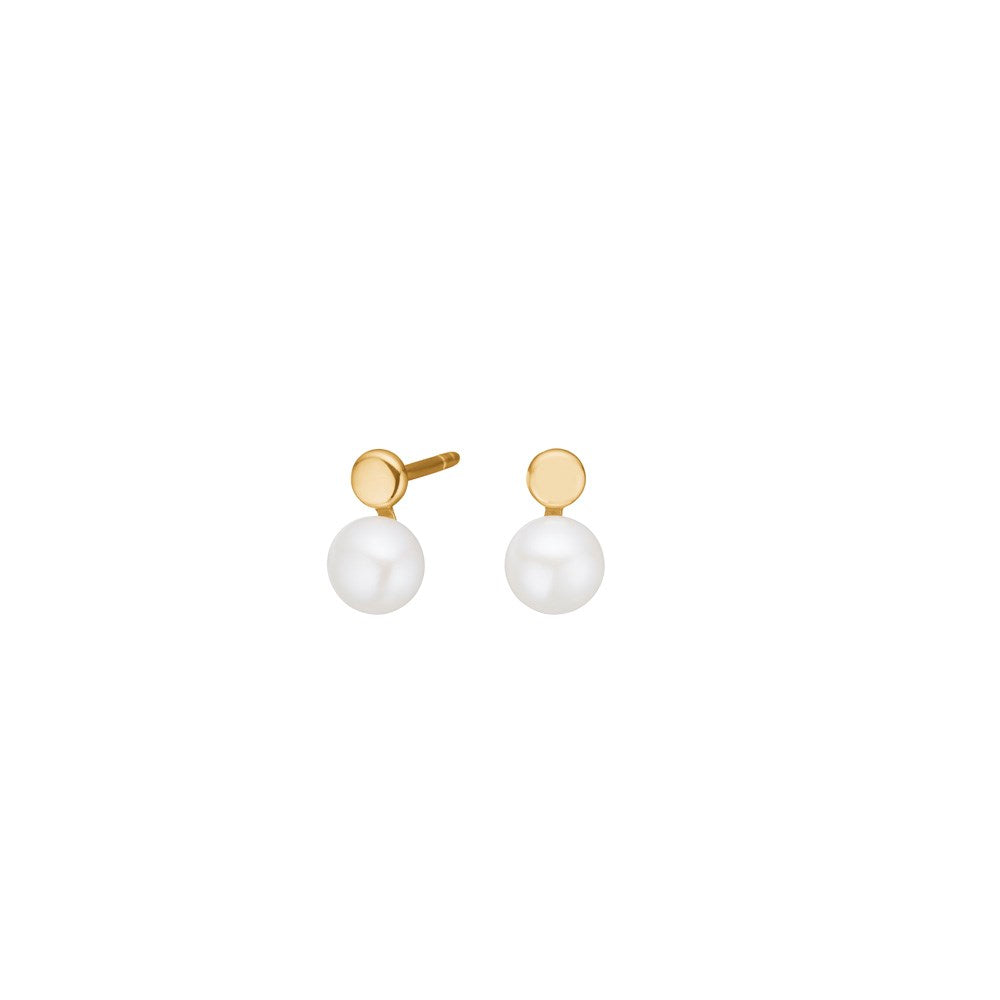 14kt. Gold Ohrstecker m. FWP