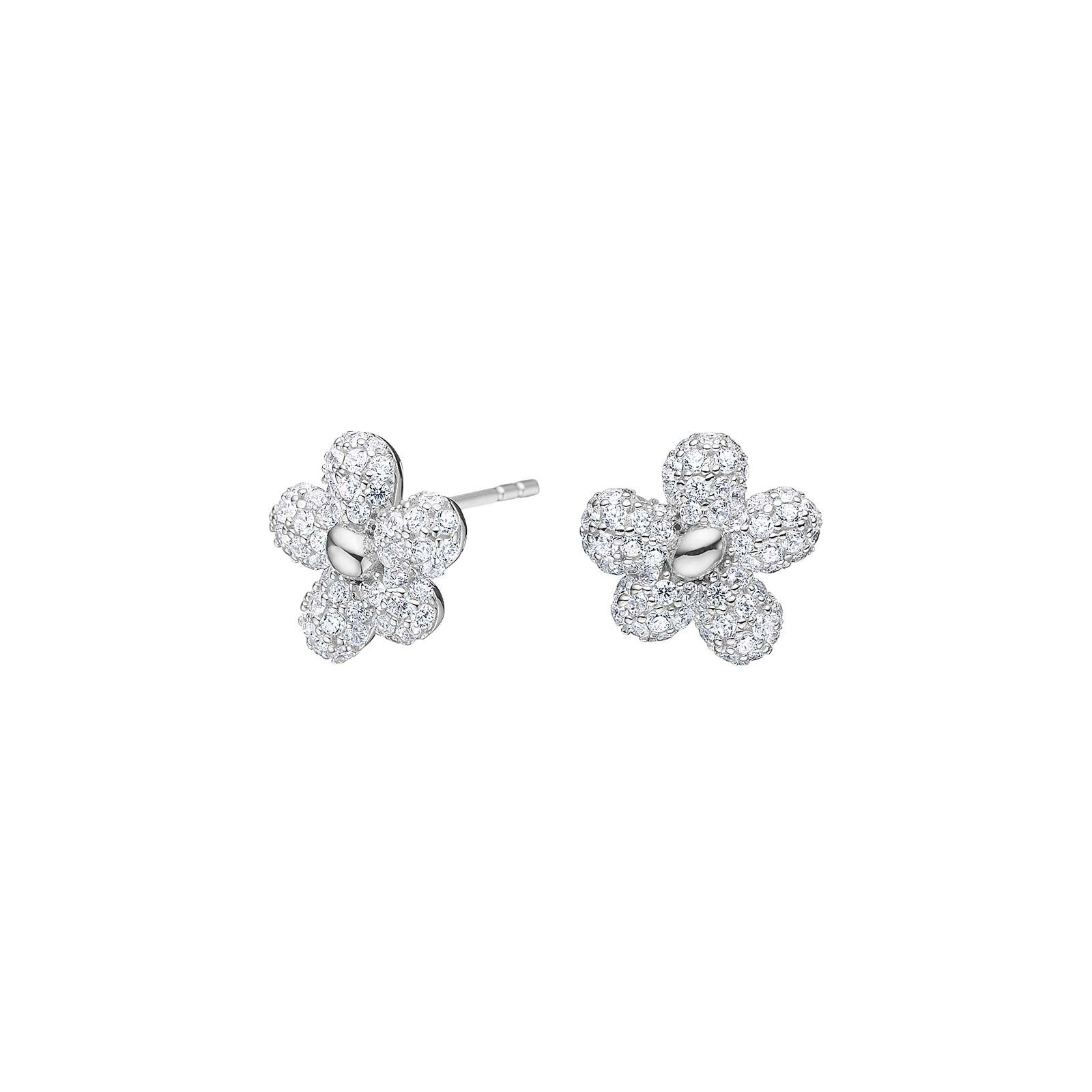 Silver earrings PHOEBENOR